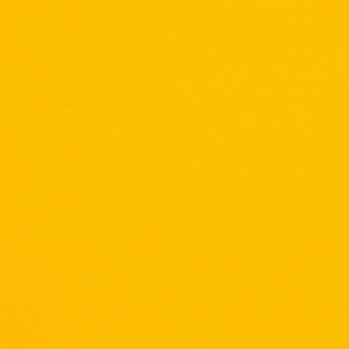 Sunflower Yellow